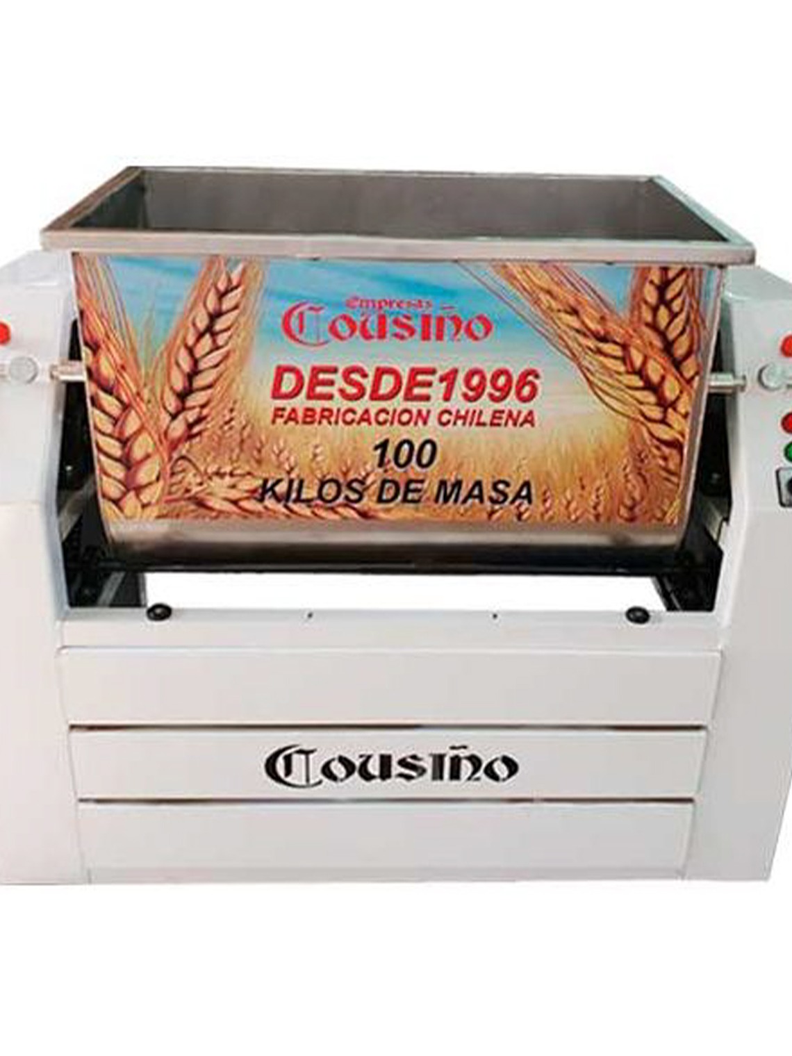 R100INOX